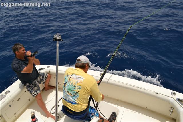 Рыбалка на Азорах  Big Game Fishing — экзотическая морская рыбалка, и не  только!